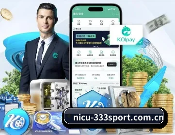 333体育 APP 深度功能